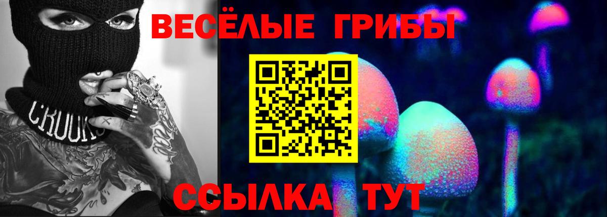 Строитель  Псилоцибиновые грибы Cubensis  Вход с VPN  Галлюциногенные грибы прущие грибы 